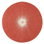 placemat 38 cm kunststof rood