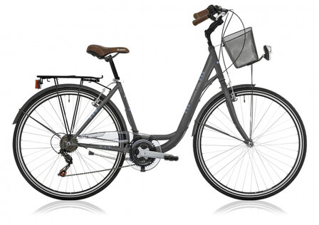 Central Park 28 Inch 48 cm Dames 6V V-Brakes Antraciet