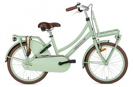 Daily Dutch Basic 20 Inch 32 cm Meisjes Terugtraprem Groen