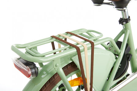 Daily Dutch Basic 20 Inch 32 cm Meisjes Terugtraprem Groen