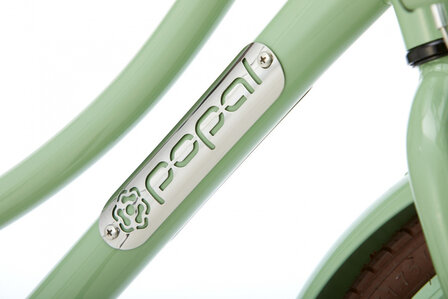 Daily Dutch Basic 20 Inch 32 cm Meisjes Terugtraprem Groen