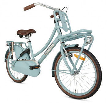 Daily Dutch Basic 20 Inch 32 cm Meisjes Terugtraprem Blauw