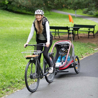 fietskar Outback One 20 Inch Unisex Rood/Grijs