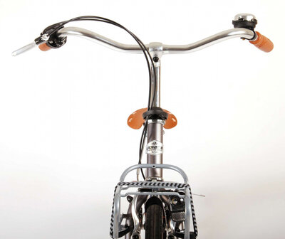 Lifestyle 28 Inch 43 cm Heren 3V Terugtraprem Grijs
