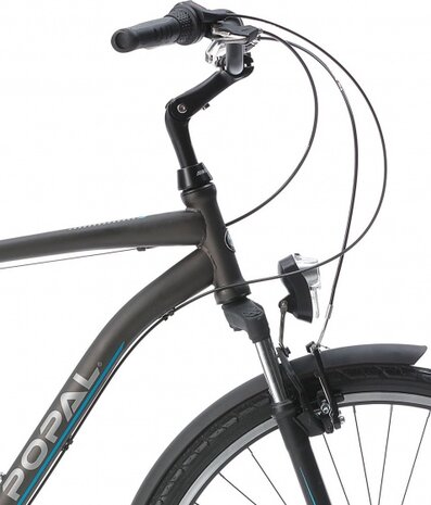 CityFlex 28 Inch 57 cm Heren 3V V-Brakes Grijs
