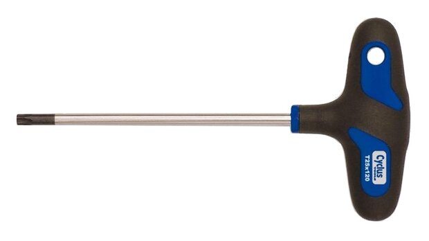 Schroevendraaier Torx 25 T-Greep