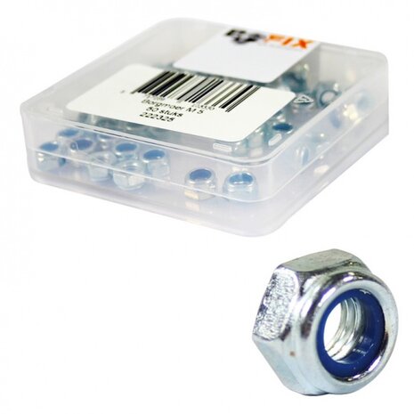 Borgmoer M5 verzinkt 50 stuks (222325)