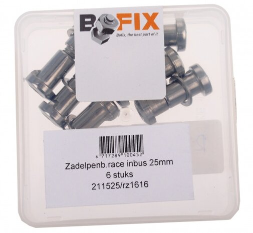 Zadelpenbout Race Inbus 25 mm Zilver 6 Stuks