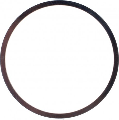 vulring staal 35 x 1 mm zilver