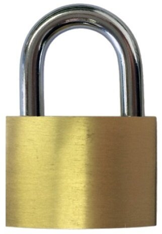 hangslot 40 x 7,10 mm goud