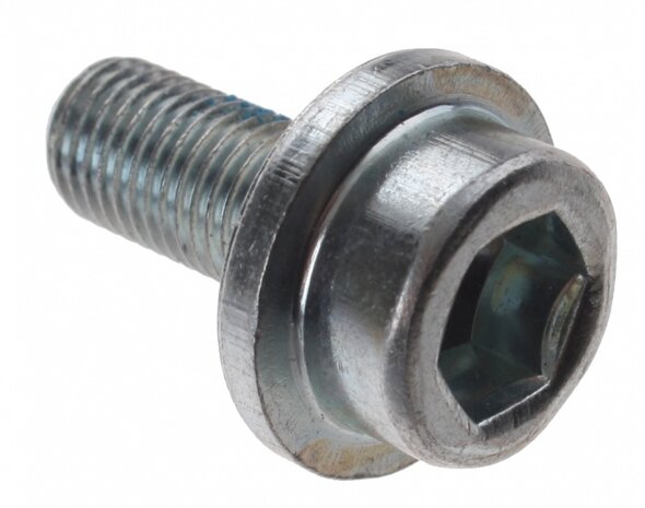 crankbout trapas M8 x 19 mm zilver per stuk