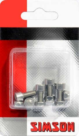 inbusbouten M5 x 12 mm zilver 5 stuks
