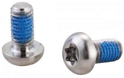 Schijfrembout torx M5x11 mm RVS zilver 10 stuks
