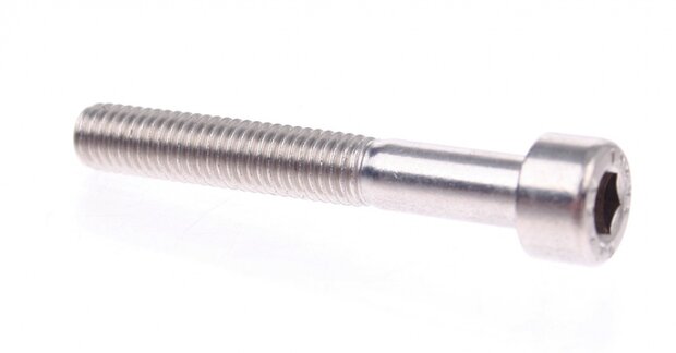 inbusbout M5 x 45 mm verzinkt (12 stuks)