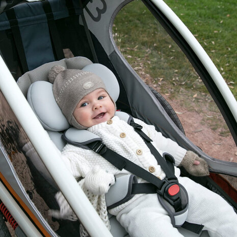 babyzitje Outback/Avenida fietskar polyester grijs