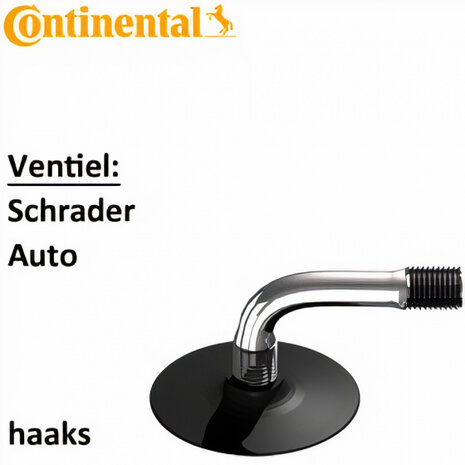 autoventiel haaks 300/410-10 staal zilver