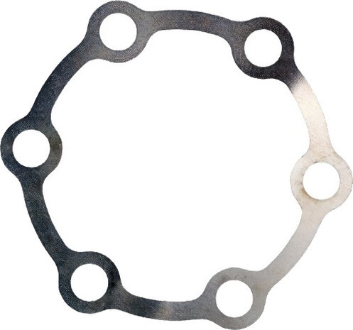 vulring remschijf 0,1 mm RVS zilver 8 stuks