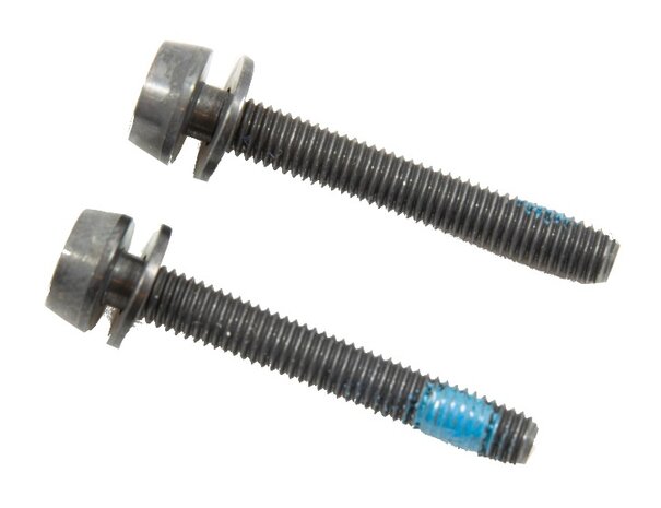 bouten voor schijfremklauw achter 29 mm 2 stuks