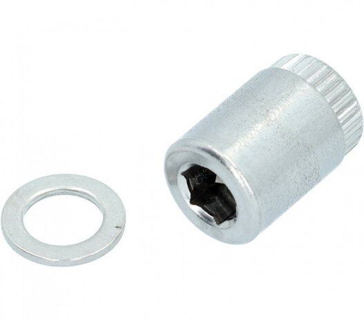 bevestigingsschroef BR-S785 met ring