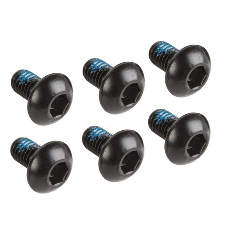 remschijf 203 mm 6 gaats RVS zilver