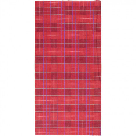 bandana/balaclava 48 x 24 cm geruit rood/blauw