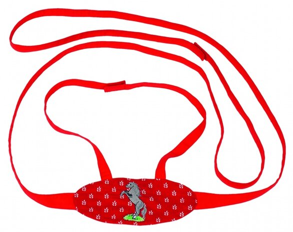 Paardentuig Rood