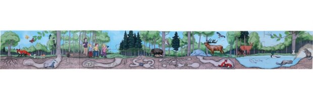 vloerpuzzel ontdek het bos 40 stukjes