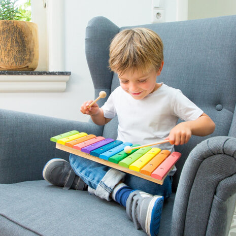 xylofoon 12 toons 33 cm hout/staal 3-delig