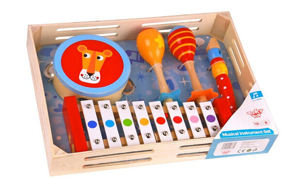 instrumentenset junior hout 5-delig