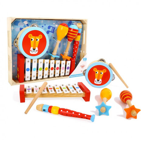 instrumentenset junior hout 5-delig