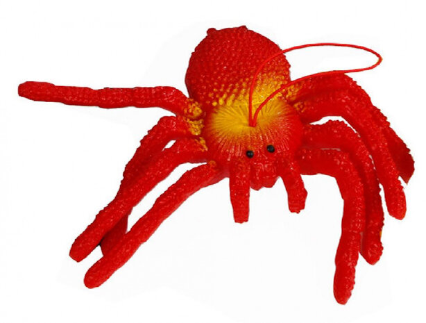spin junior 14 cm rood