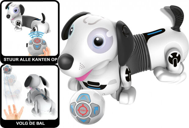 robothond Robo Dackel