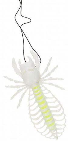 skelet spin glow-in-the-dark 10 cm 3-delig