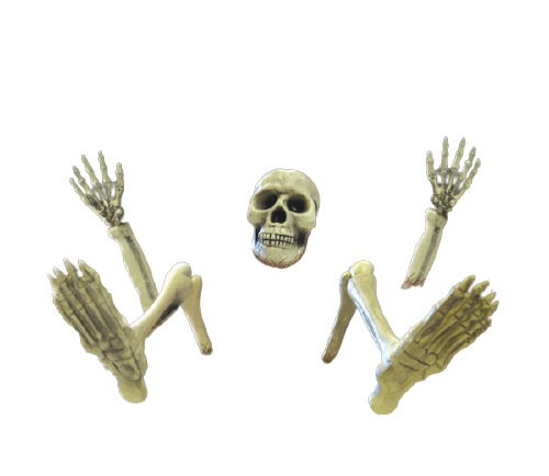 Halloween decoratie skelet 18 - 32 cm wit 10-delig