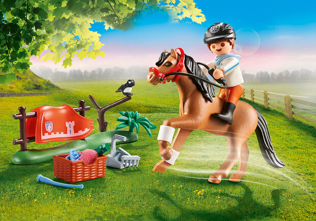 Country - Verzamelpony Connemara (70516)