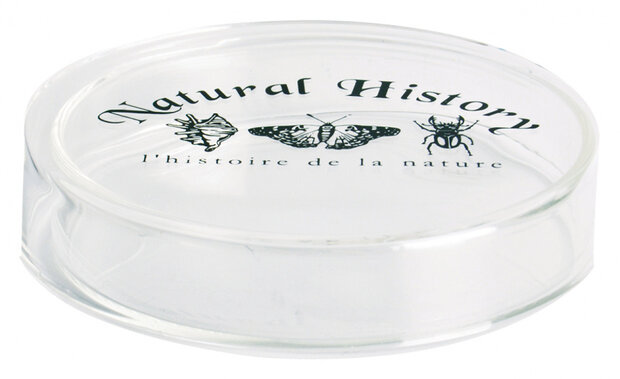 petrischaal 8,4 x 1,9 cm glas transparant