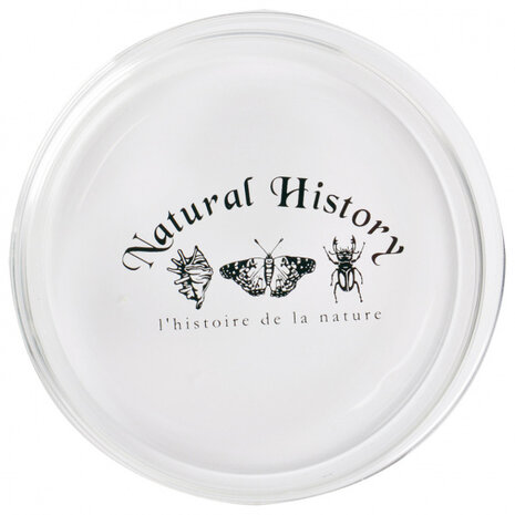 petrischaal 11 x 2,4 cm glas transparant