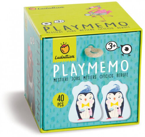 memory Memo Jobs junior karton 40 stuks