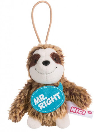 knuffelhanger Luiaard Right junior 10 cm polyester bruin