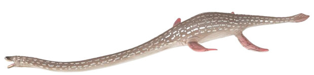dinosaurus Elasmosaurus junior 24 cm ABS lichtbruin