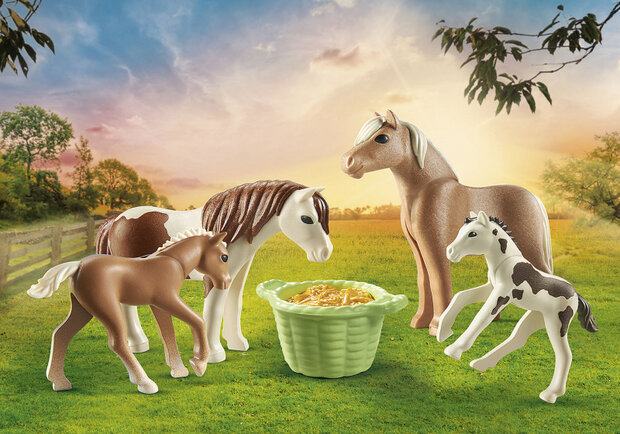 Country - 2 IJslandse pony&#039;s met veulens (71000)