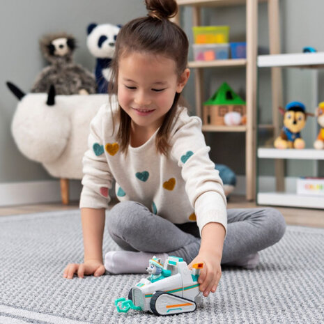 speelset Paw Patrol Everest wit/aqua 2-delig