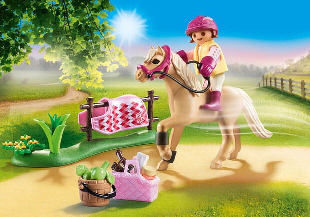 Country - Collectie pony - Duitse rijpony (70521)