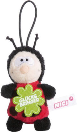sleutelhanger Ladybird 8 cm zwart/rood/groen