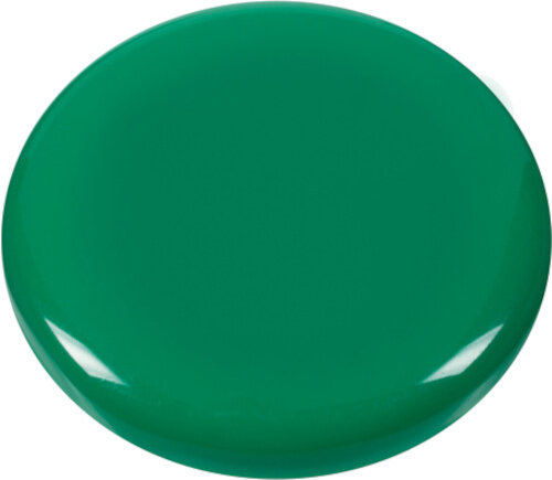 magneten 30 x 8 mm groen 10 stuks