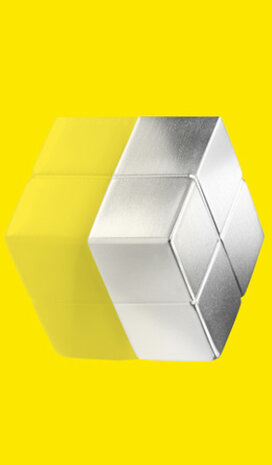 magneten voor glasbord 2 x 1 cm neodymium zilver