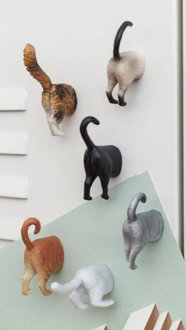 magneten Cat Butt 3,5 x 3,5 x 2 cm vinyl 6-delig