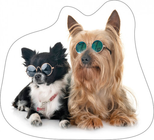 sierkussen honden junior 40 x 40 cm polyester bruin