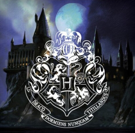 kussen Harry Potter 40 x 40 cm polyester blauw