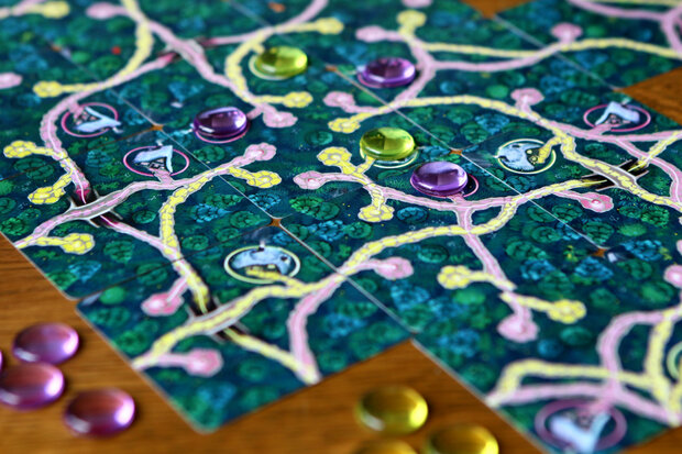 gezelschapsspel Fairy Trails&nbsp;